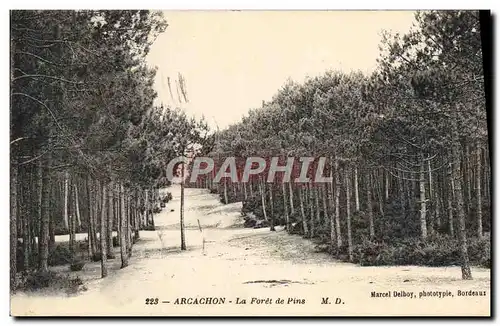 Cartes postales Arcachon La Foret De Pins