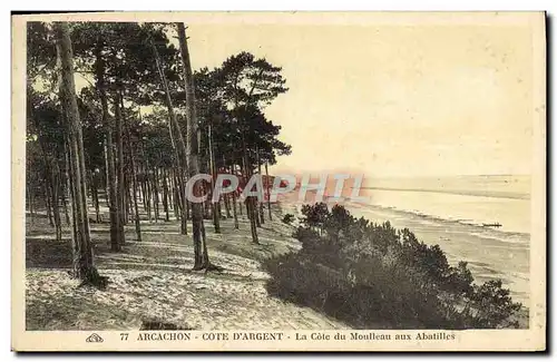 Cartes postales Arcachon Cote D'Argent La Cote Du Moulleau Aux Abatilles