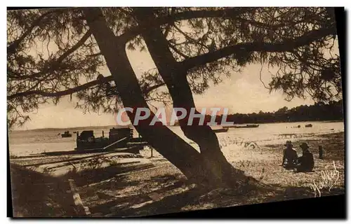 Ansichtskarte AK Cazaux Bord du Lac