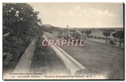 Cartes postales Arcachon Boulevard Promenade et ses Palmiers