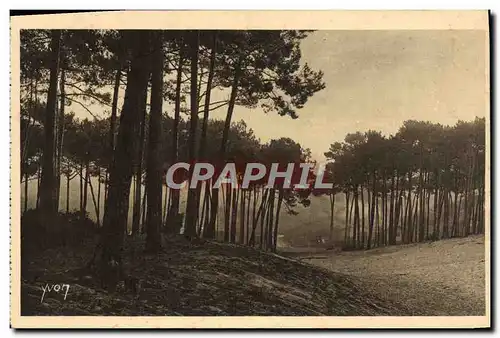 Ansichtskarte AK Arcachon Les Grendes Dunes de la Ville d&#39Hiver