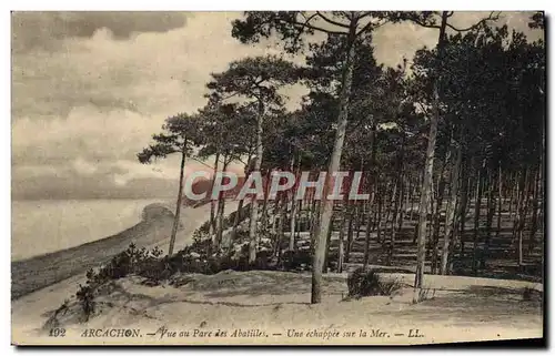 Cartes postales Arcachon Vue au Pare des Abatilles une Echappee sur la Mer