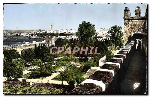 Cartes postales moderne Rabat Chemin De Ronde Oudaias