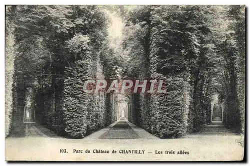 Cartes postales Chateau De Chantilly Les Trois Allees