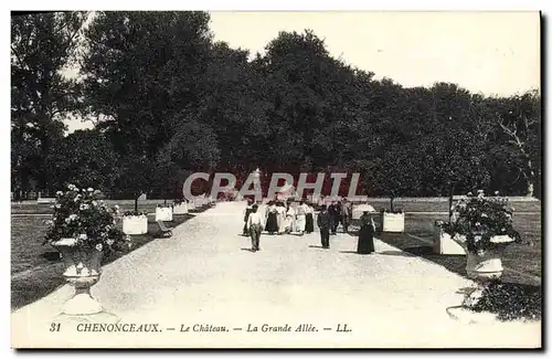 Ansichtskarte AK Chenonceaux Le Chateau La Grande Allee