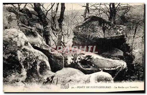 Ansichtskarte AK Foret De Fontainebleau La Roche Qui Tremble