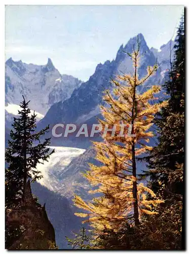 Cartes postales moderne Au Pays Du Mont Blanc La Mer De Glace Les Grands Charmoz et la dent du geant