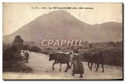 Ansichtskarte AK Le Puy De Dome Attelage Vaches