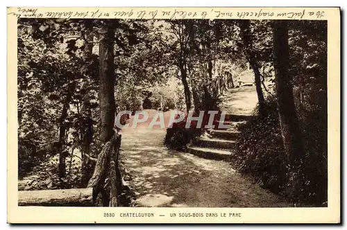 Ansichtskarte AK Chatelguyon Un Sous Bois Dans Le Parc