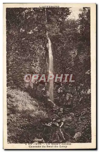 Ansichtskarte AK Le Mont Dore Cascade Du Saut Du Loup