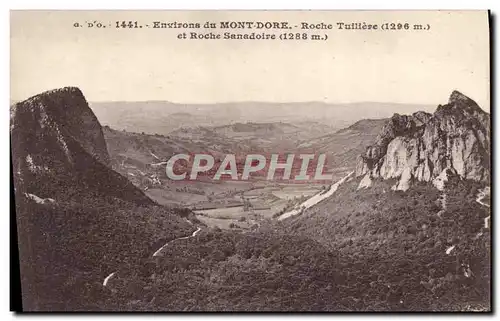 Cartes postales Environs Du Mont Dore Roche Tuiliere et roche Sanadoire