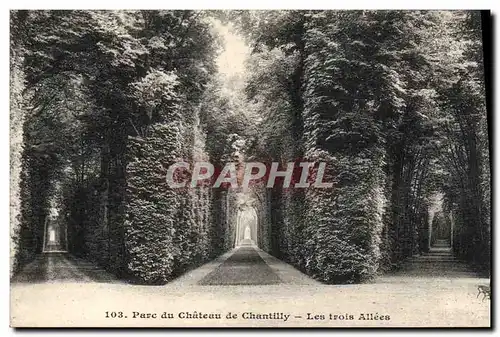 Cartes postales Parc Du Chateau De Chantilly Les Trois Allees