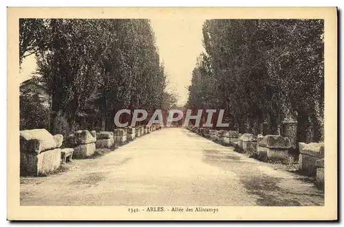 Cartes postales Arles Allee Des Aliscamps