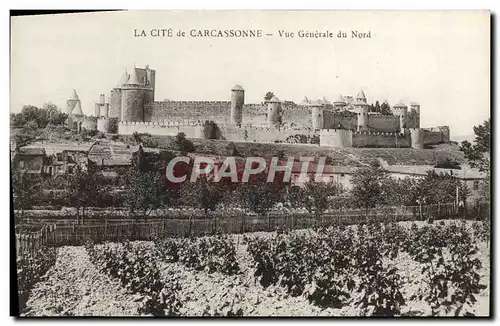 Cartes postales Cite de Carcassonne Vue generale du Nord