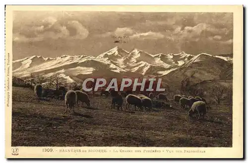 Cartes postales Bagneres de Bigorre La chaine des Pyrenees Vue des Palomieres Moutons