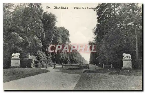 Ansichtskarte AK Chantilly Route des Lions