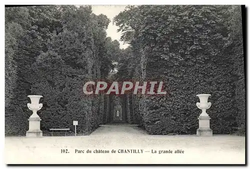 Cartes postales Parc du chateau de Chantilly La grande allee