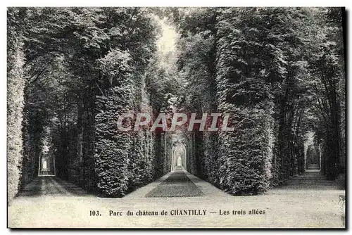 Cartes postales Parc du chateau de Chantilly Les trois allees