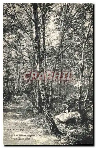 Cartes postales La Pierre qui Vire Un sous Bois