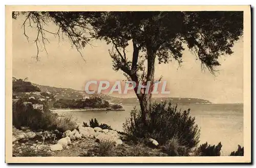 Cartes postales Monaco La littoral vers le Cap Martin