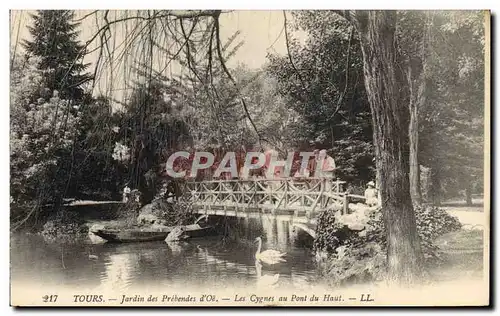 Cartes postales Tours Jardin des Prebendes d&#39Oe Les cygnes au pont du haut