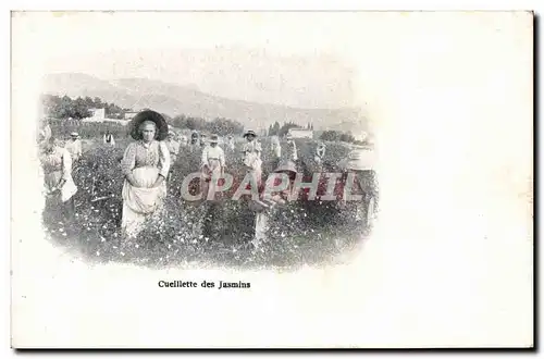 Cartes postales Cueillette des Jasmins Parfum
