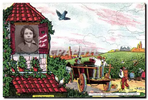 Cartes postales Fantaisie Photographie Enfant Travaux des champs Les vendanges