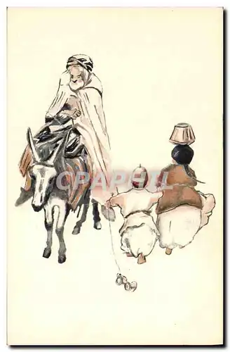 Cartes postales Fantaisie Afrique du Nord Illustrateur Ane Mule Locomotion Algerie