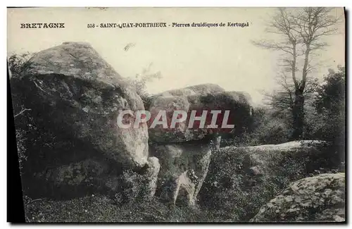 Cartes postales Saint Quay Portrieux Pierres druidiques de Kertugal