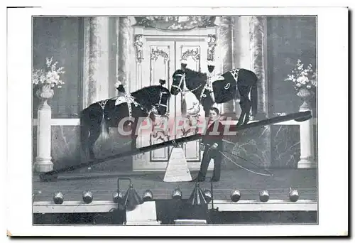 Cartes postales Nains Poneys