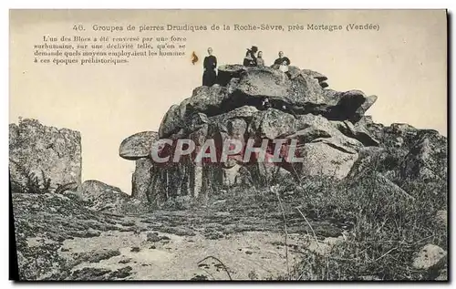 Cartes postales Groupe de pierres druidiques de la Roche Sevre pres Mortagne