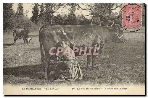 Cartes postales Folklore Normandie La traite aux champs Vache