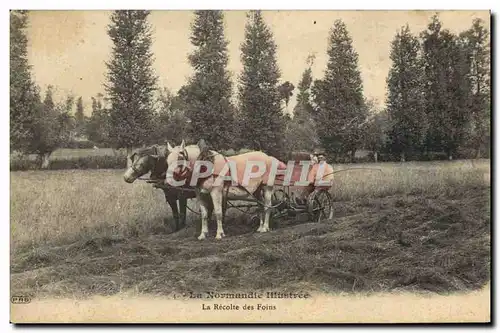 Ansichtskarte AK Folklore Normandie La recollte des foins cheval