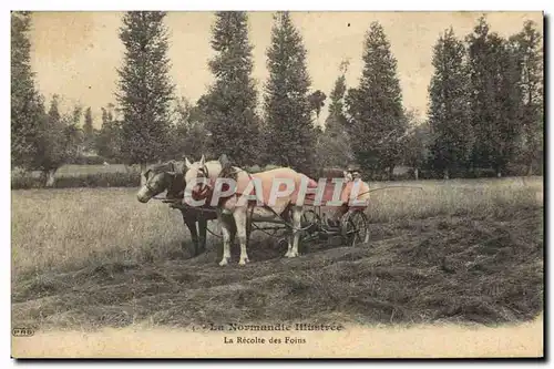 Cartes postales Folklore Normandie La recollte des foins cheval