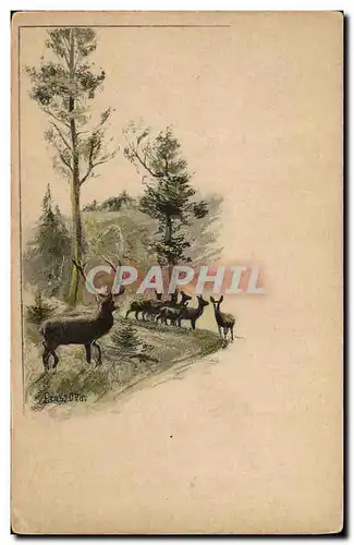 Cartes postales Fantaisie Illustrateur Biche Cerf