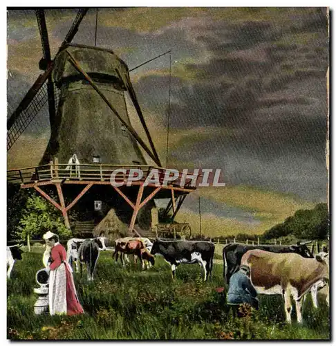 Cartes postales Moulin a vent Vache