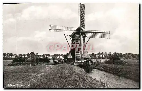 Cartes postales moderne Moulin a vent Moot Friesland
