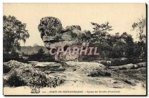 Ansichtskarte AK Dolmen Menhir Foret de Fontainebleau Sphinx des druides Franchard