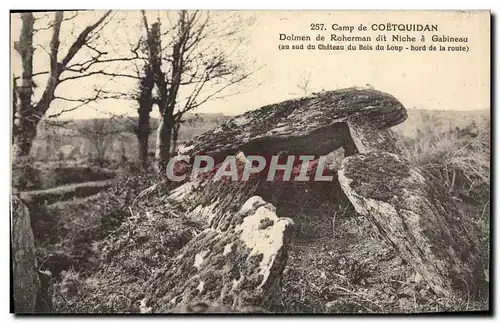 Ansichtskarte AK Dolmen Menhir Camp de Coetquidan Dolmen de Rocherman dit Niche a Gabineau