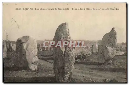 Ansichtskarte AK Dolmen Menhir Carnac Les alignements de Kermario Etude des differentes formes de menhirs