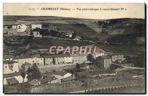 Cartes postales Cartes Postales S Farges Rue Victor Hugo Lyon Chamelet Vue panoramique a raccordement
