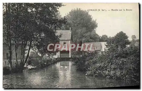 Ansichtskarte AK Moulin a eau Aumale Moulin sur la Bresle