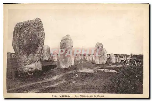 Ansichtskarte AK Dolmen Menhir Carnac Les alignements du Menec Vaches