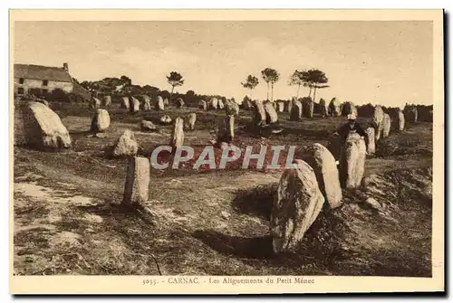 Ansichtskarte AK Dolmen Menhir Carnac Les alignements du Petit Menec