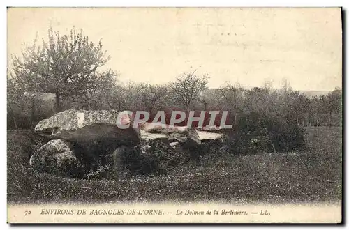 Ansichtskarte AK Dolmen Menhir Environs de Bagnoles de l&#39Orne Le dolmen de la Bertiniere