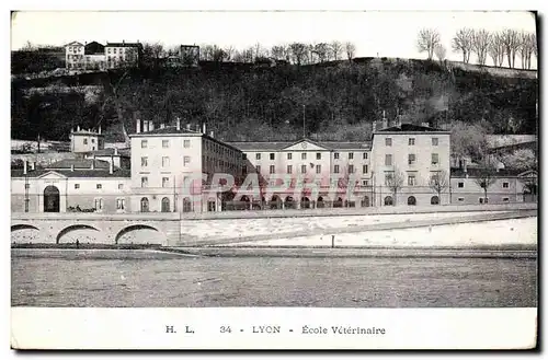 Cartes postales Lyon Ecole Veterinaire