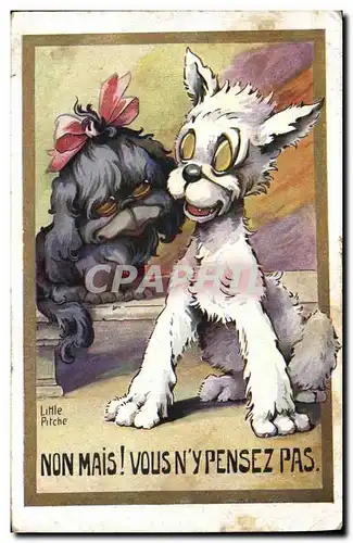 Cartes postales Chat Chats Chaton Chien Little Pitche