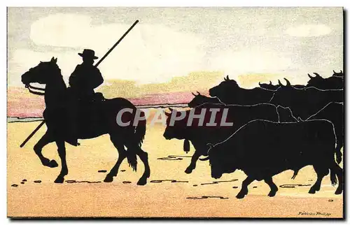 Cartes postales Contre la lumiere Corrida Taureau