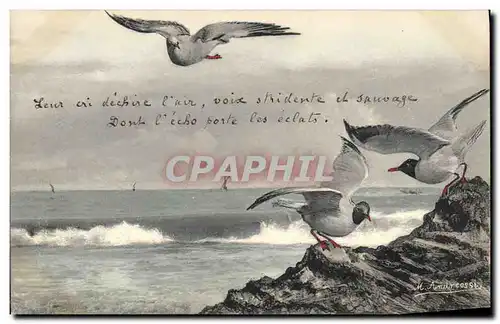 Cartes postales Fantaisie Illustrateur Oiseaux