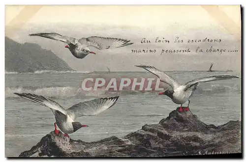 Cartes postales Fantaisie Illustrateur Oiseaux